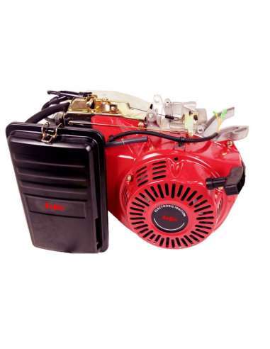 MOTOR 4T BR-177 FG CONICO LARGO 9HP