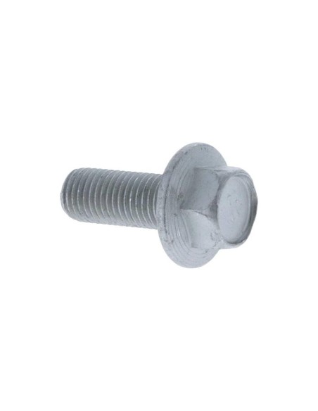 TORNILLO CUCHILLA M.10 x 1.25 x L.25